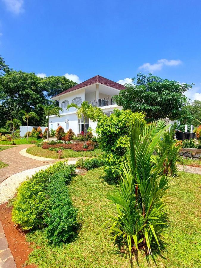 Garden House ג'פארה מראה חיצוני תמונה